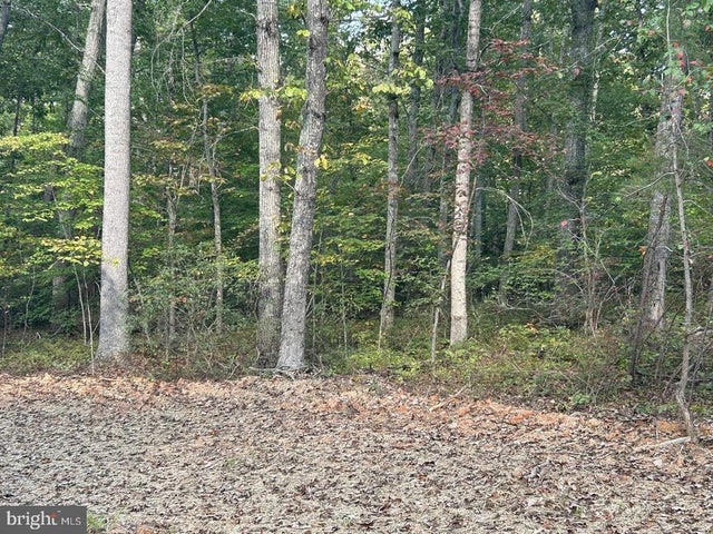 Parcel 18 Camden Ln, Elkwood