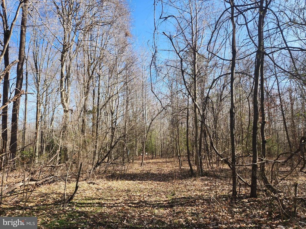 00 South River Rd, WOODFORD VA | WOODFORD Lots/Land Homes For Sale