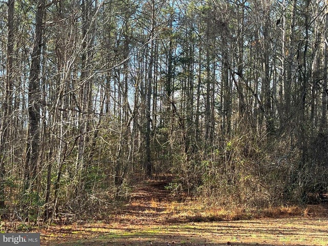 0b Mckenney Dr, Woodford