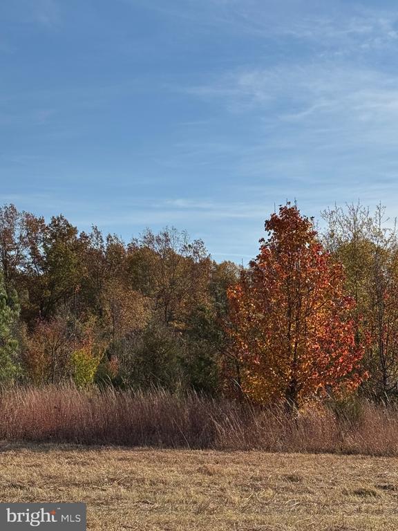 00 Baines Corner Road, BEALETON