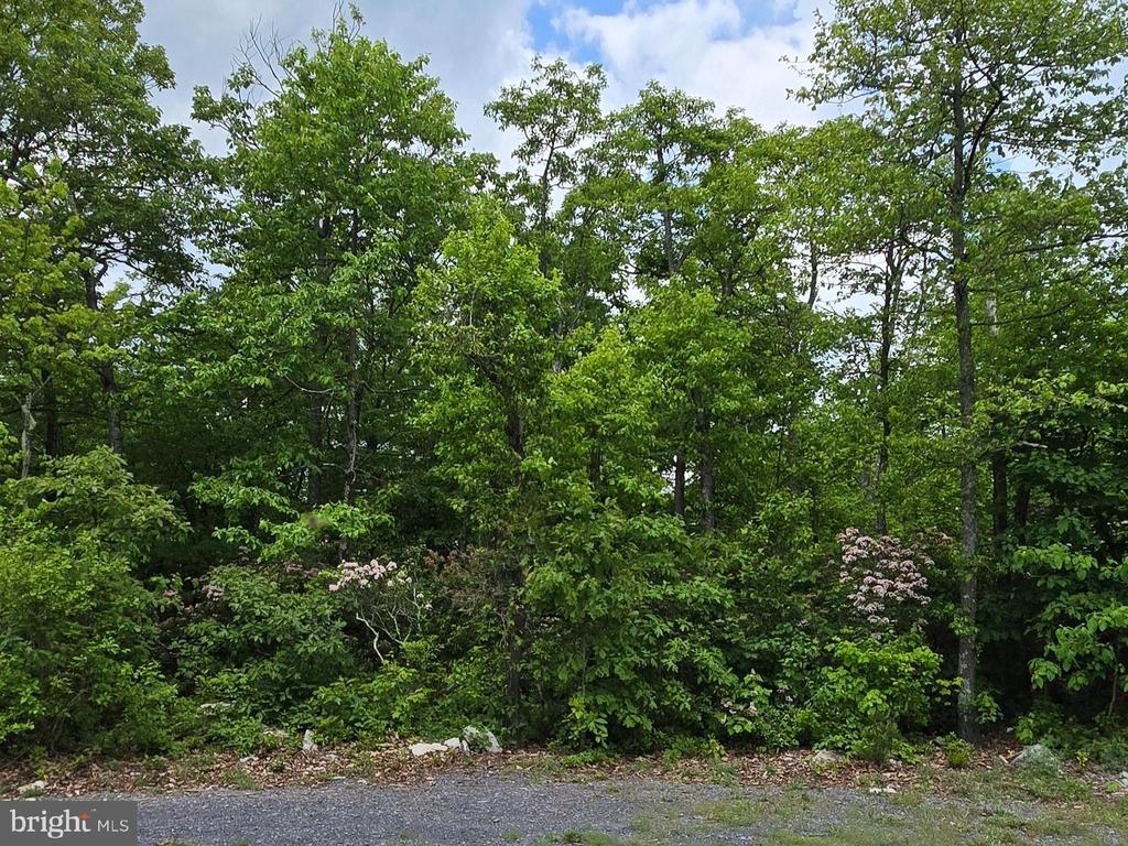 Lot 75 Bear Trail, WINCHESTER VA | WINCHESTER Lots/Land Homes For Sale