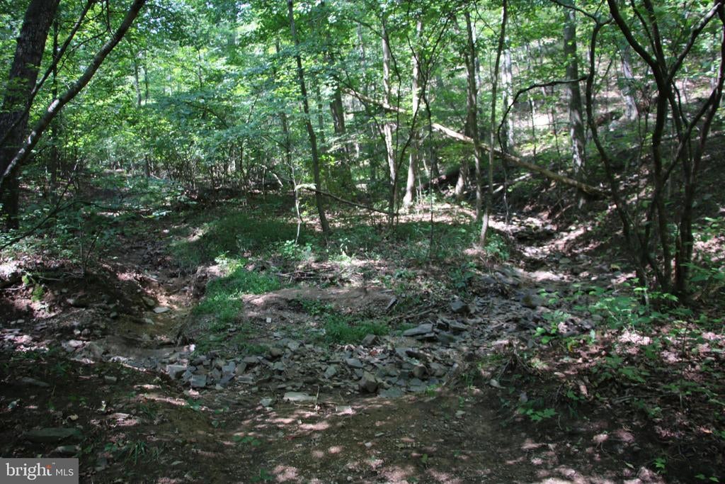 Jeans Meadow Ln, GORE VA GORE Lots/Land Homes For Sale