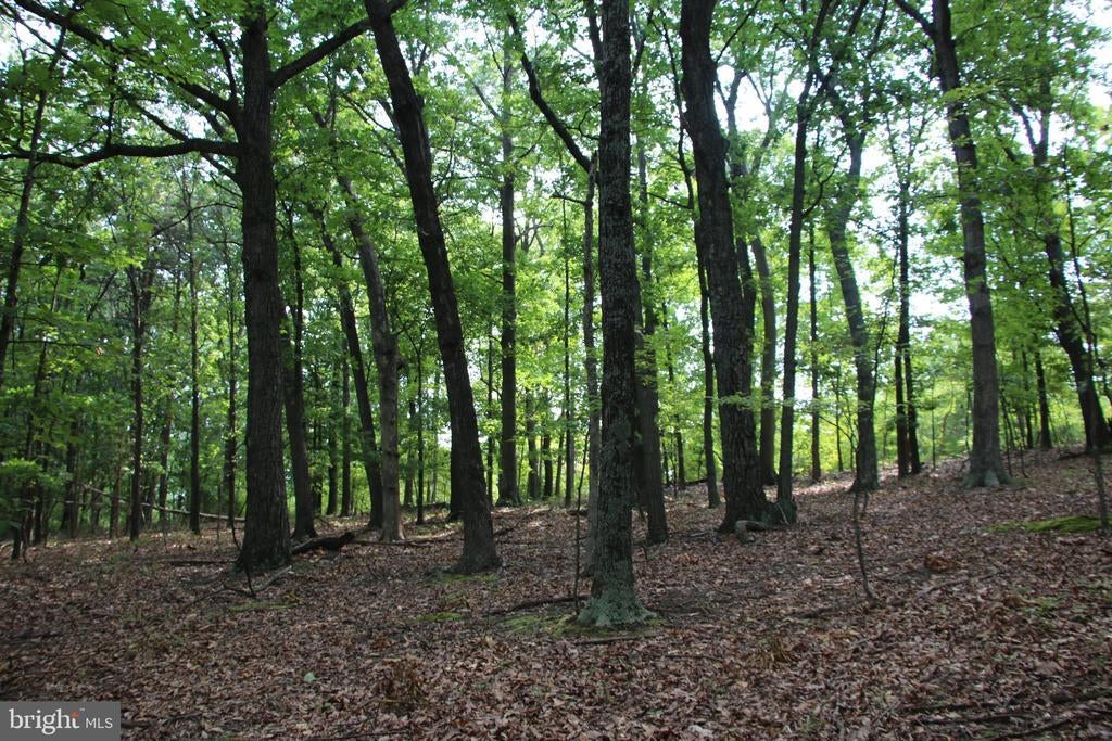 Dawn Heights Trl, WINCHESTER VA WINCHESTER Lots/Land Homes For Sale