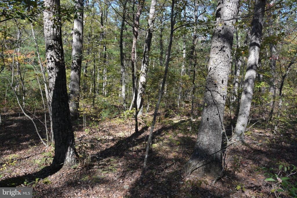 33+ Acres Quail Run Ln, WINCHESTER VA WINCHESTER Lots/Land Homes For Sale