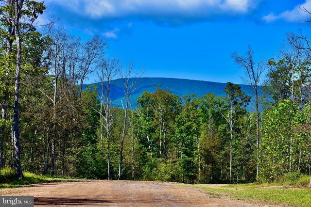 Lot 1 (128.556 Acres) Laurel Grove Rd, Winchester