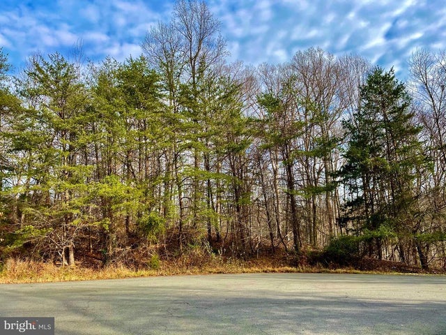 390 Nichols Run Ct, Great Falls