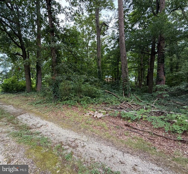 6821 Ridgeway Dr, Springfield