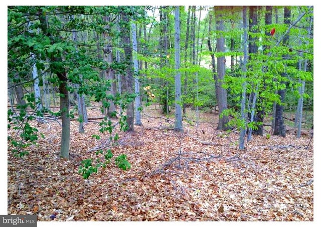 8310 Upper Spring Ln, Annandale