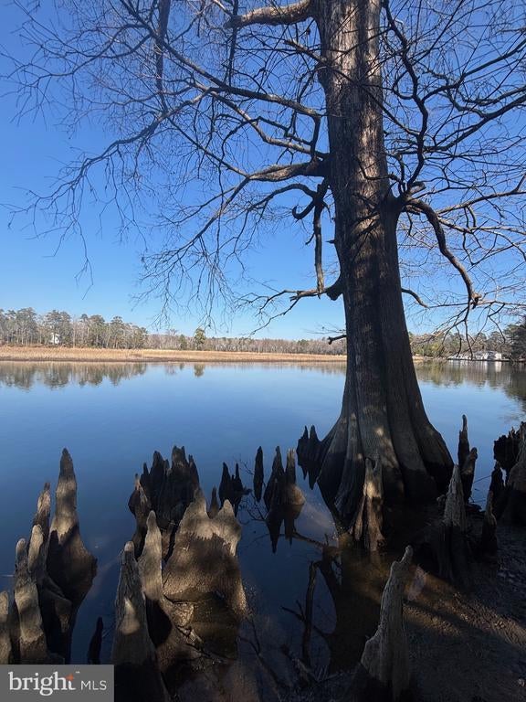 339 Neck-o-land Rd, Williamsburg