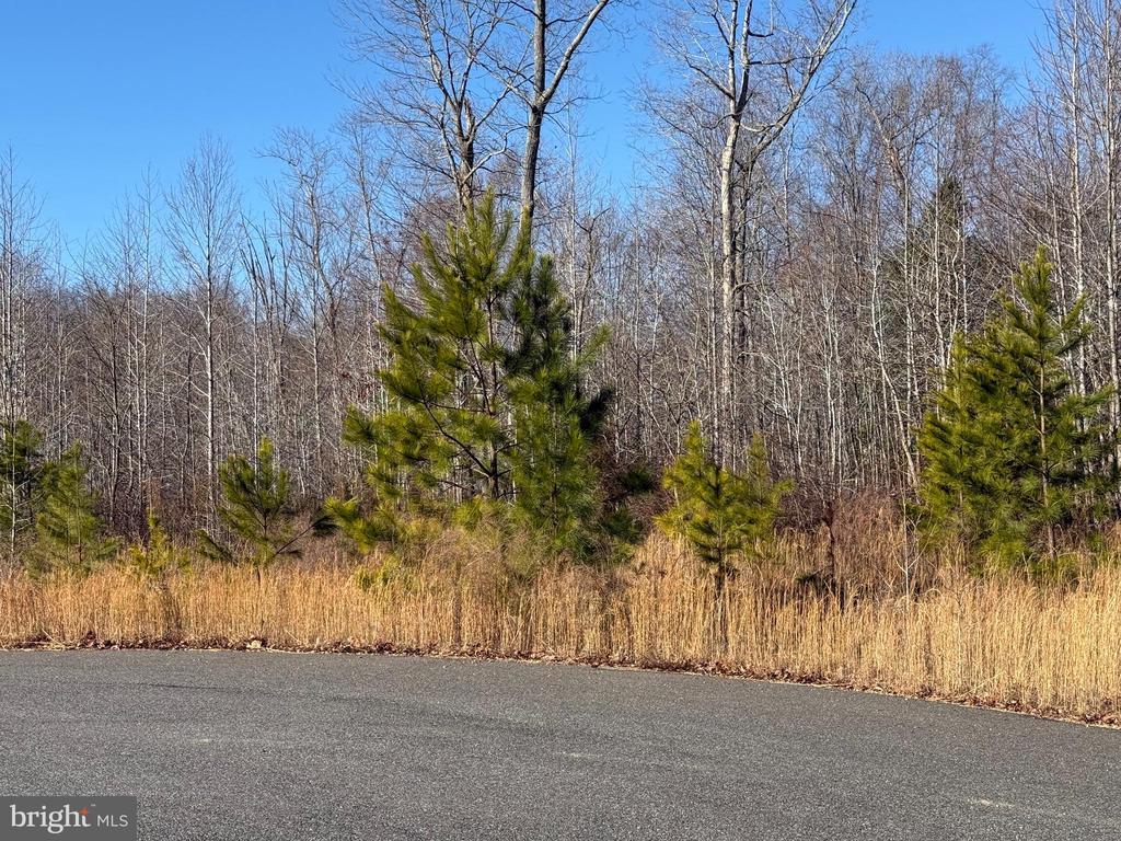 Catkin, KING GEORGE VA | KING GEORGE Lots/Land Homes For Sale