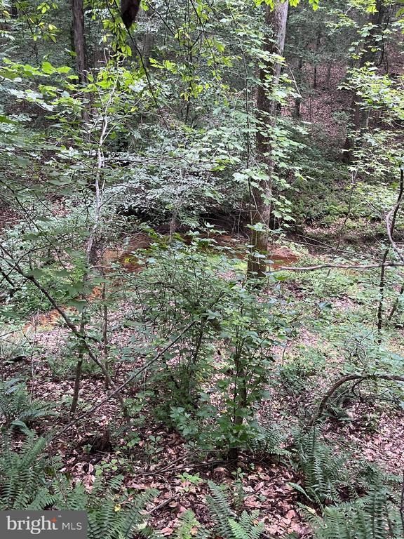 Lot 27 Salem Church Rd, King George