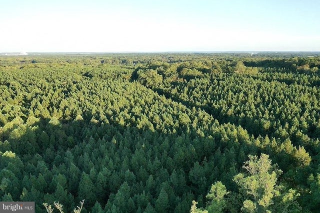 Mathias Point Rd, King George