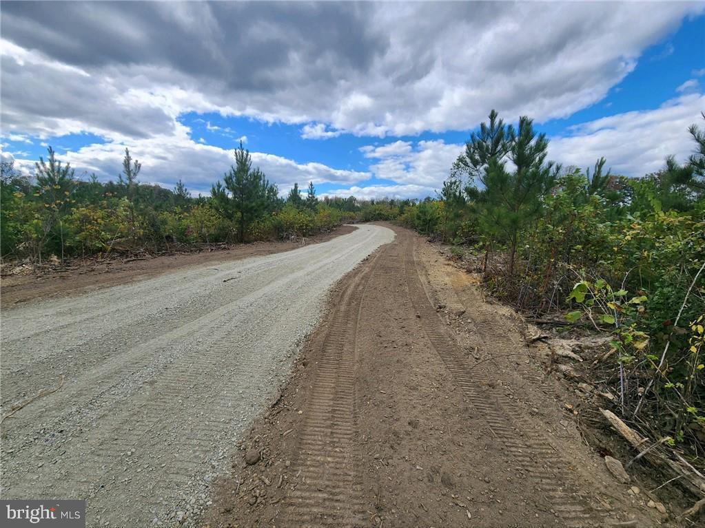 0000 Cross County Rd, MINERAL VA MINERAL Lots/Land Homes For Sale