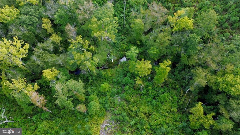 0000 Cross County Rd, MINERAL VA MINERAL Lots/Land Homes For Sale