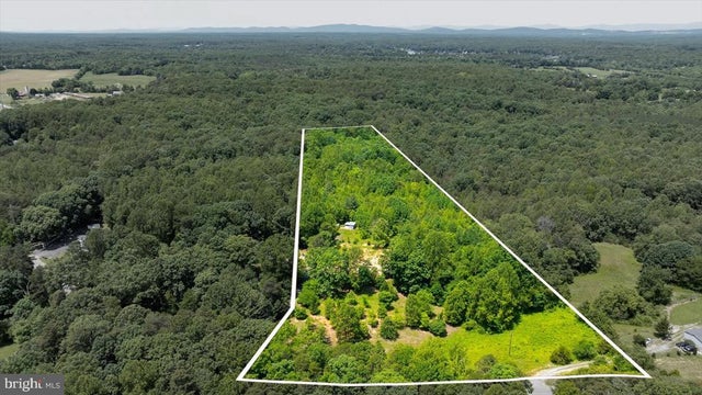 Peach Grove Road, Louisa