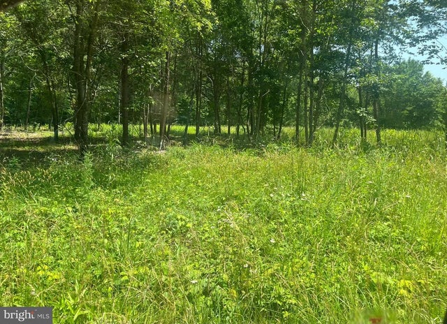 Lot 2 Kentucky Springs Rd, Bumpass