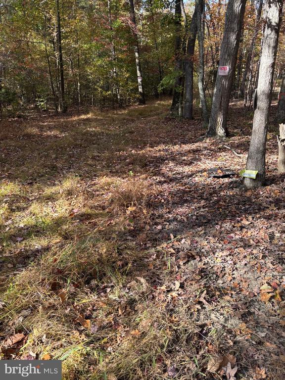 23 Taylor Rd, Louisa