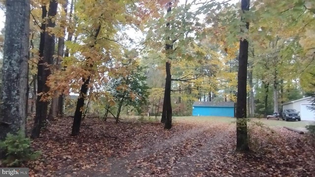 Aspen Hill Road, Louisa