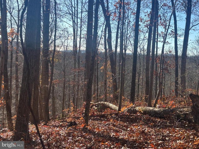 38196 Lime Kiln Rd, Middleburg