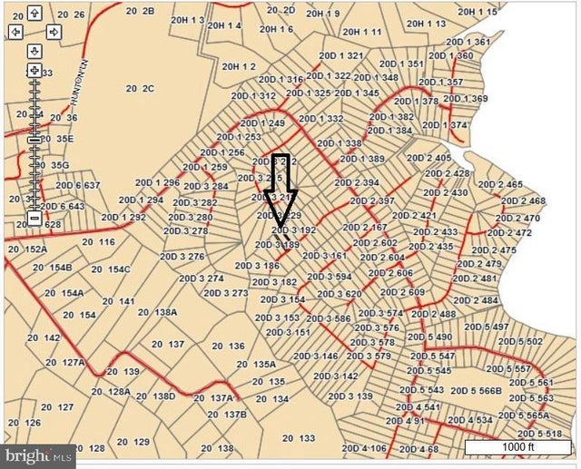 000 Wishing Well Lane, Mollusk