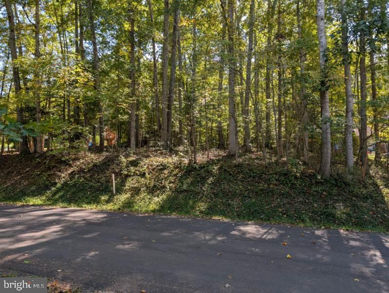 905 Eastover Pkwy, LOCUST GROVE VA LOCUST GROVE Lots/Land Homes For Sale