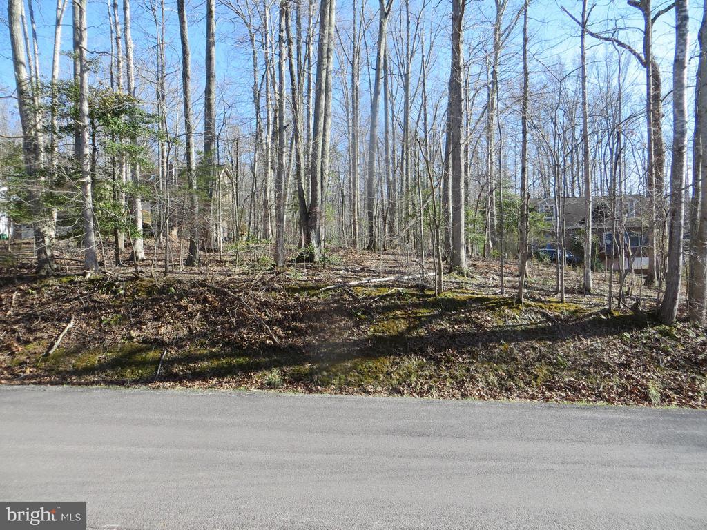 905 Eastover Pkwy, LOCUST GROVE VA LOCUST GROVE Lots/Land Homes For Sale