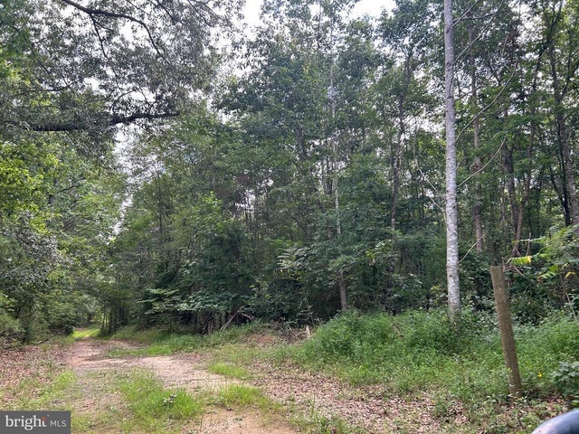 Bickers Ln, Orange