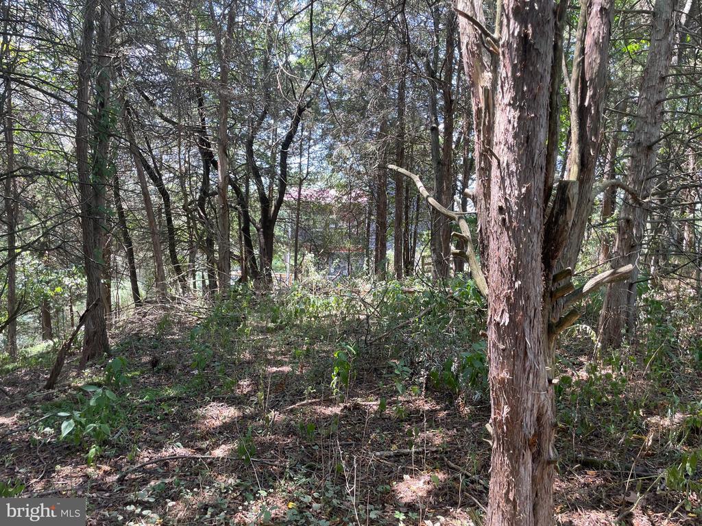 River Hills Rd, SHENANDOAH VA SHENANDOAH Lots/Land Homes For Sale