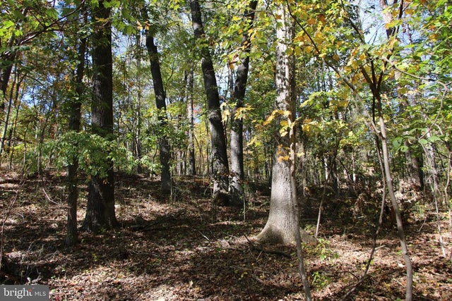 River View Pl, Shenandoah