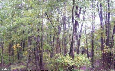 7509 James Madison Hwy, Gainesville