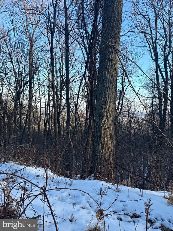 1607 Summit Dr, Haymarket