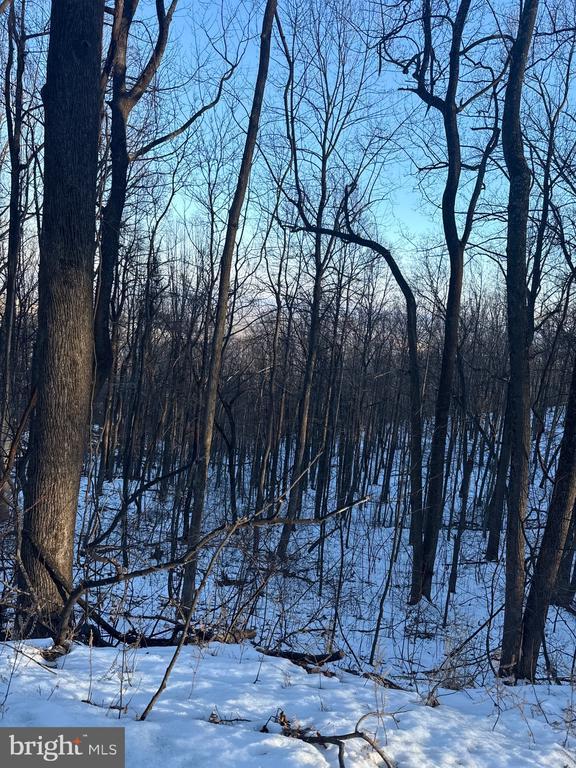 1611 Summit Dr, Haymarket