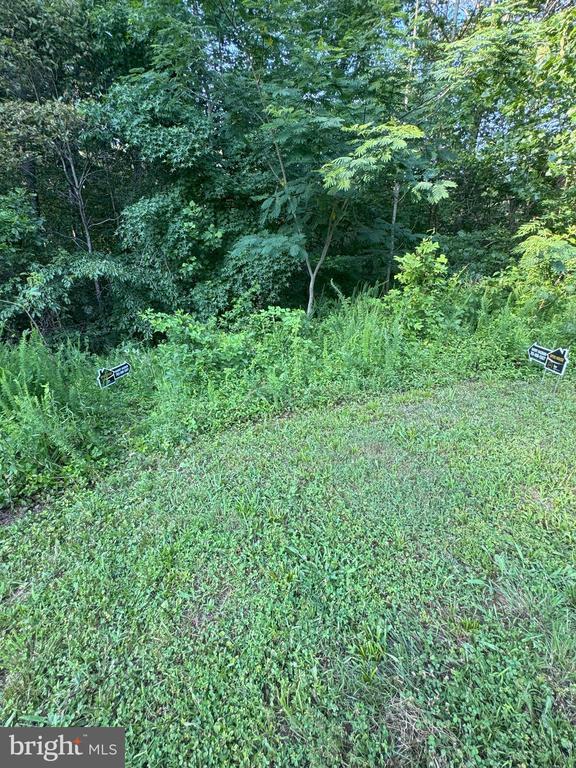 17429 Joplin Rd, Triangle