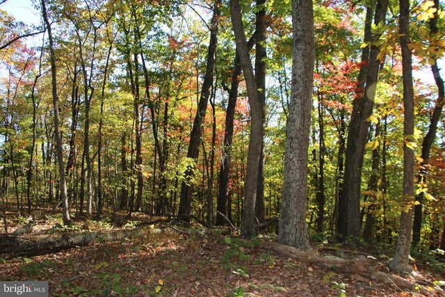 Middle Of No Way Ln, Castleton