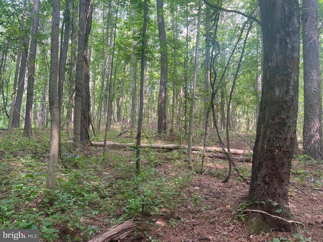 0 Thornton Gap Church Road, Sperryville