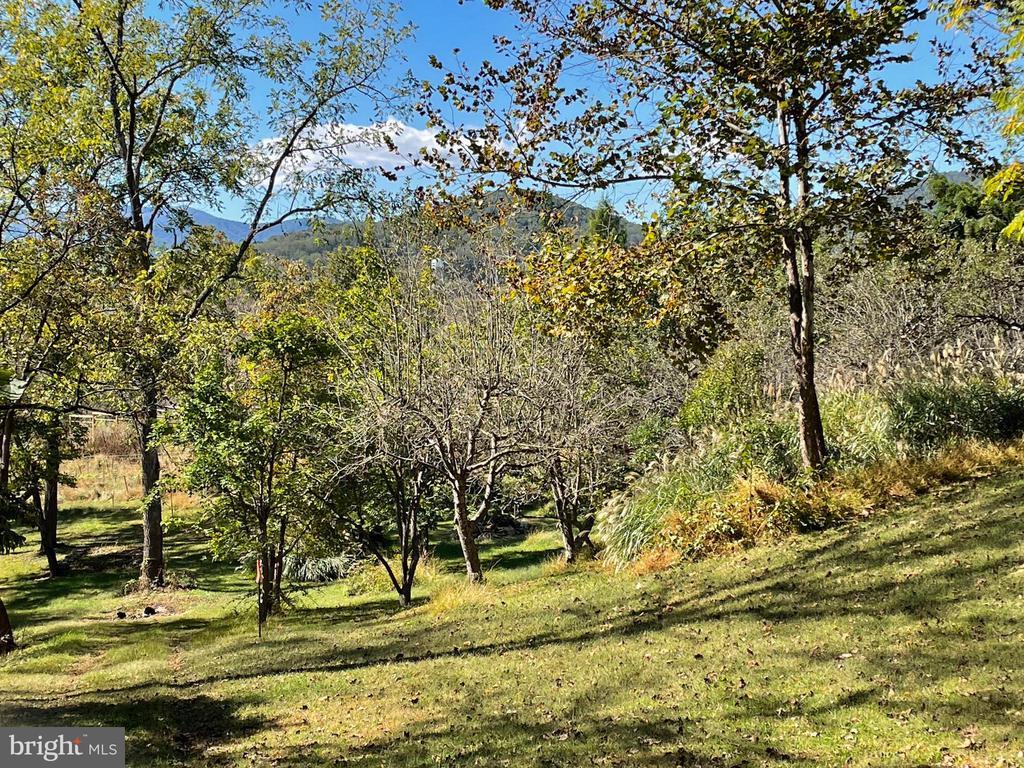 Tiger Valley Rd, WASHINGTON