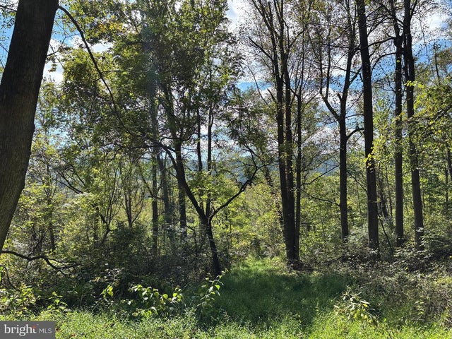 0 Harris Hollow Rd, Washington