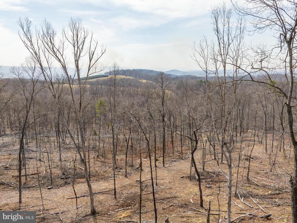 0 Mockingbird Lane- Lot 21, MOUNT JACKSON