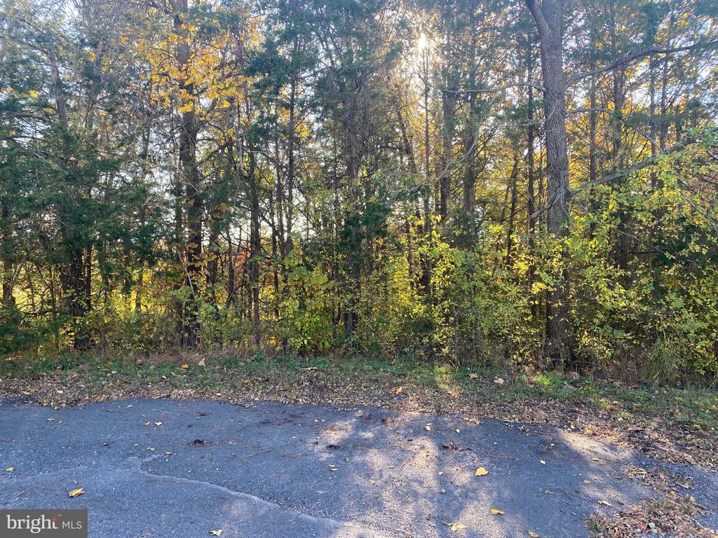 6200 Julian Ln E, MINERAL VA MINERAL Lots/Land Homes For Sale