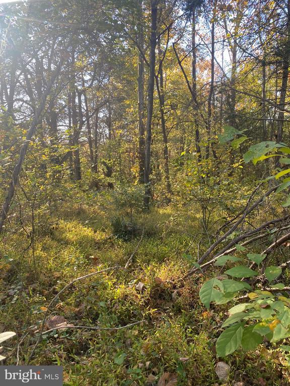 6200 Julian Ln E, MINERAL VA MINERAL Lots/Land Homes For Sale