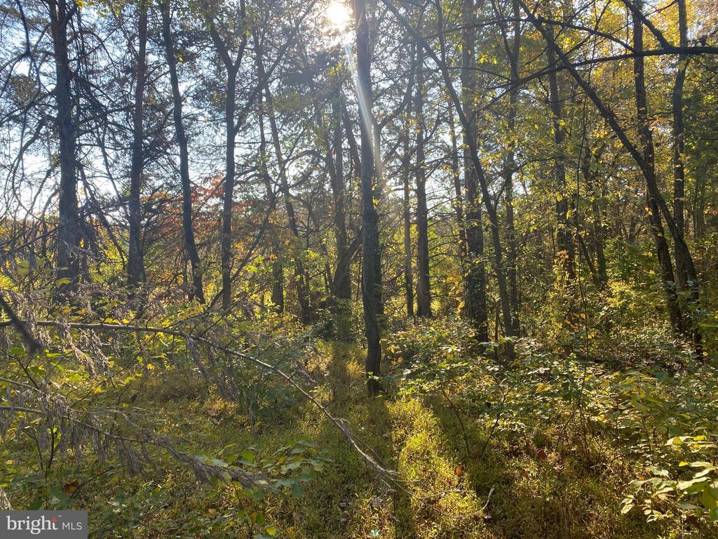 6200 Julian Ln E, MINERAL VA MINERAL Lots/Land Homes For Sale