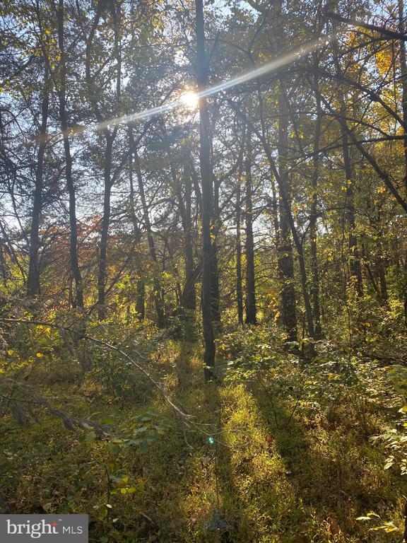 6200 Julian Ln E, MINERAL VA MINERAL Lots/Land Homes For Sale