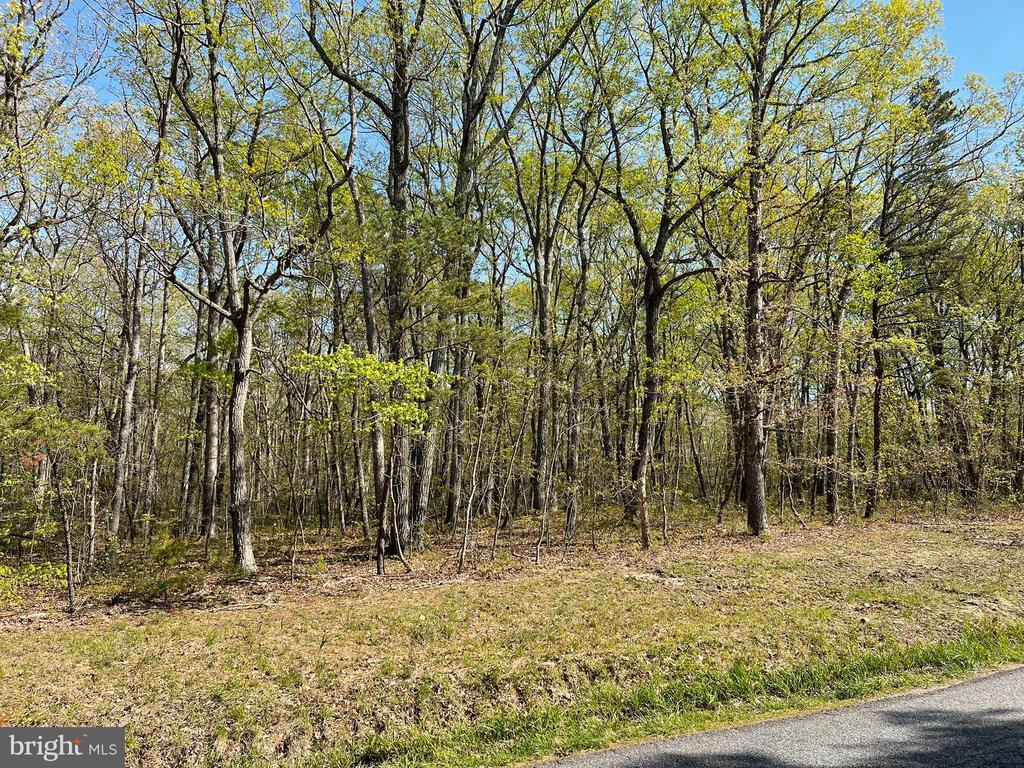 13323 Black Meadow Rd, SPOTSYLVANIA