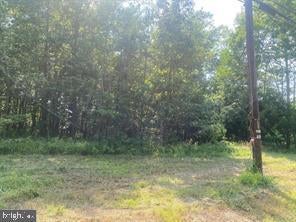 Mckinney Blvd, Colonial Beach