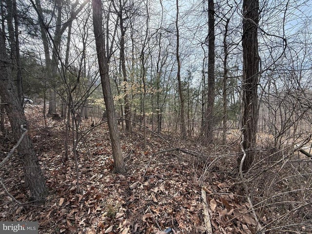 Lot 62 Roaches Run Rd, Front Royal