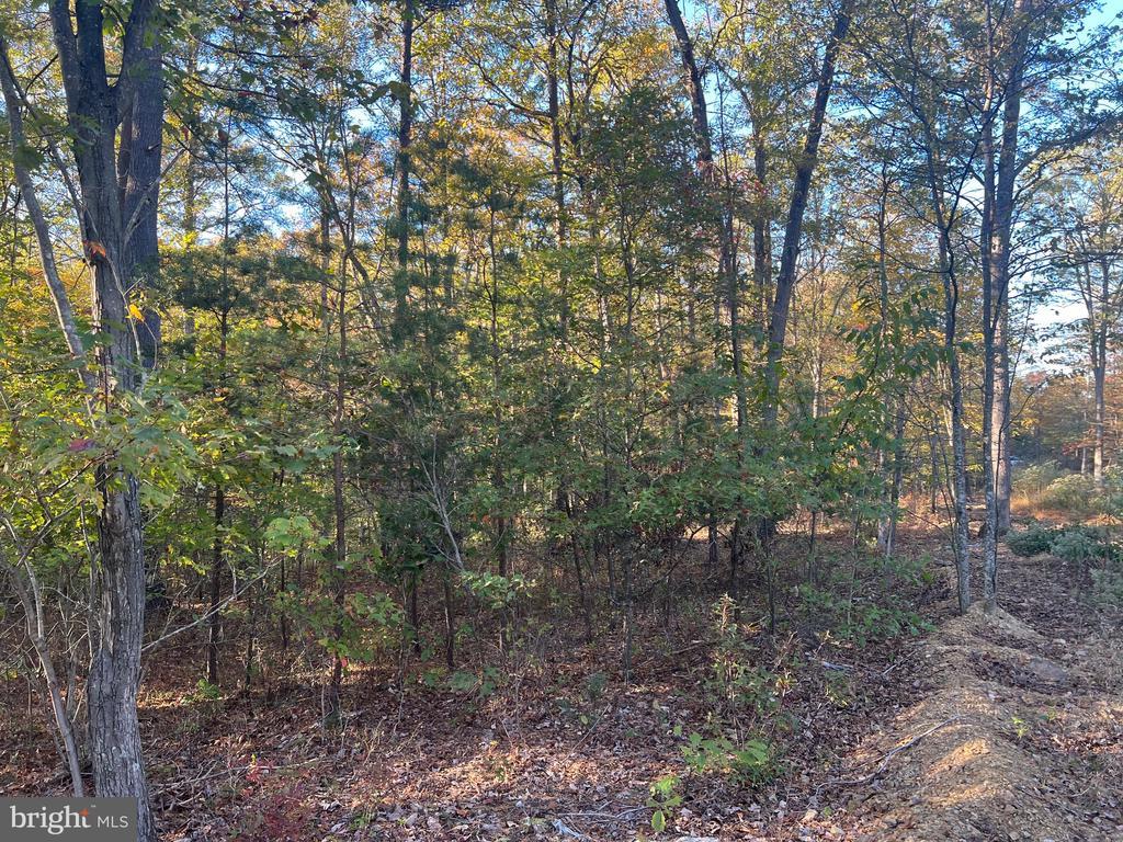 Dunham Dr, HEDGESVILLE WV HEDGESVILLE Lots/Land Homes For Sale