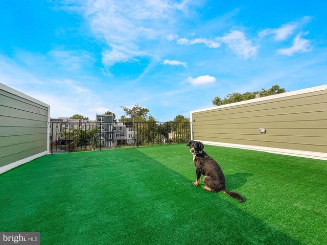 318 Webster St Nw #3, Washington