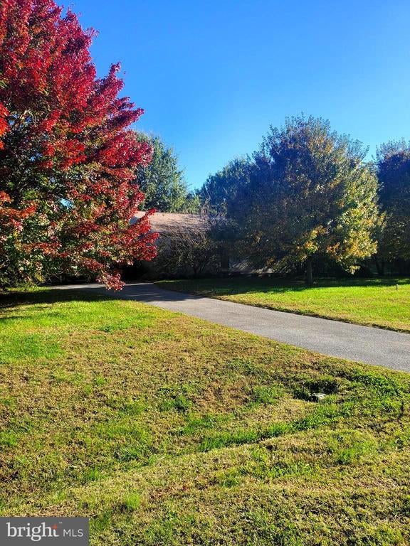 86 Whitetail Ln, Magnolia