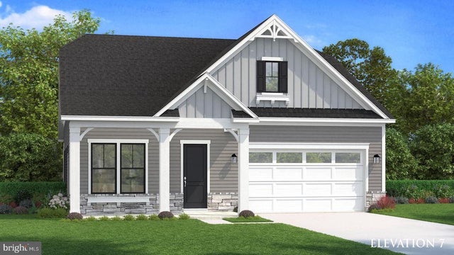 Tbb Pitch Pine Ct #palmetto, Lewes