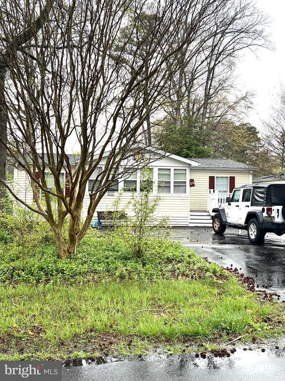 54 White Pine Dr, Millsboro